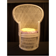 Chair, Wicker Fan - White (Adult)