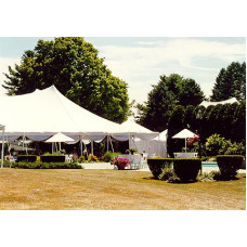 Tent 60x60 Pole